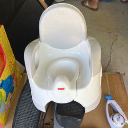 Toddler Potty Chair
