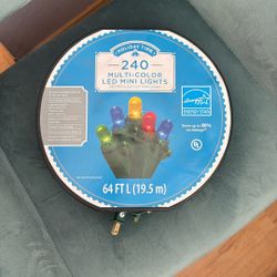 Multi Color Led Mini Lights 240 Lights