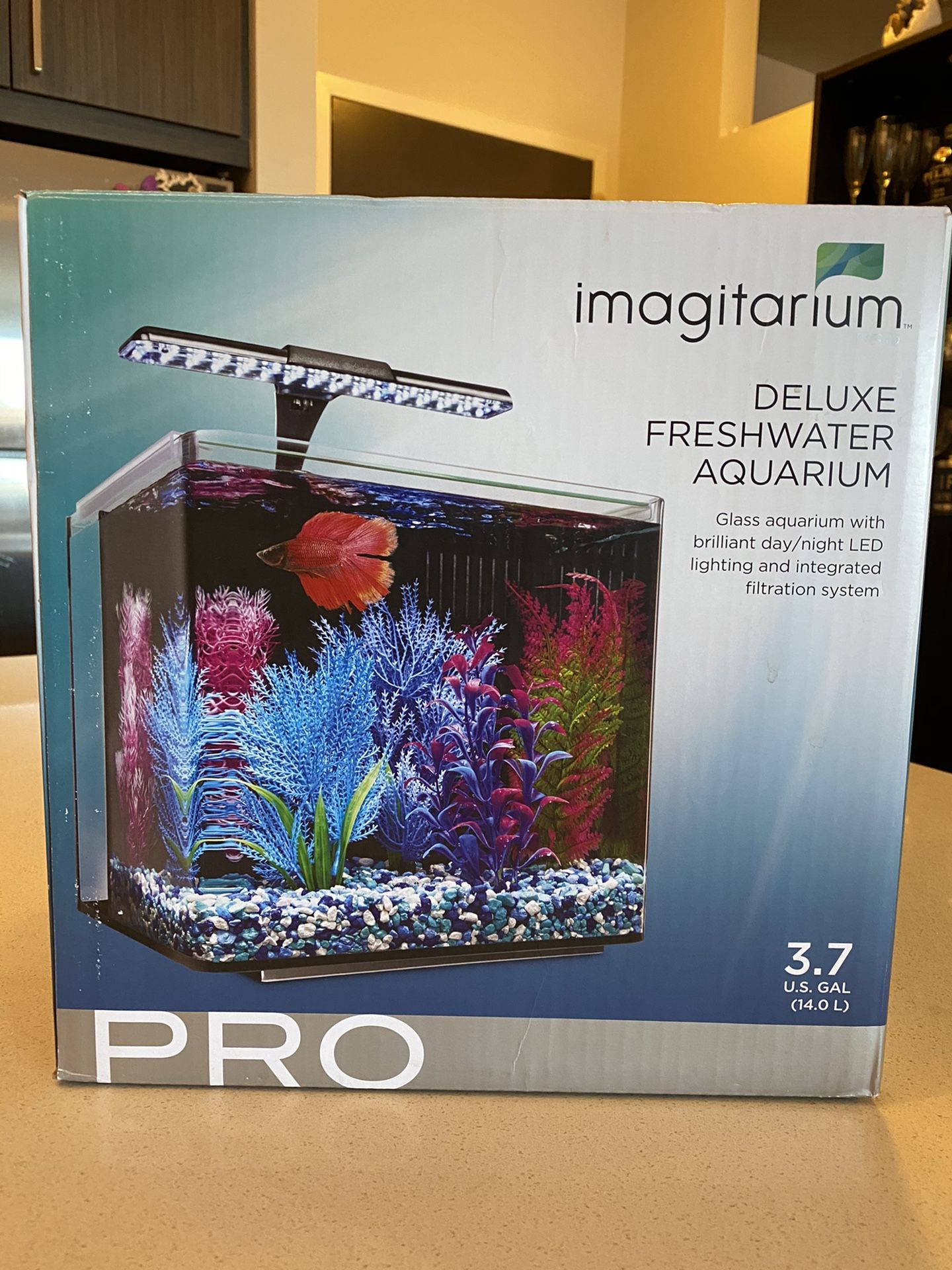 Imagination 3.7 gallon Aquarium