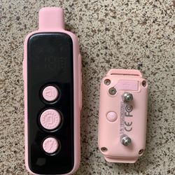 Training Collar For Your Pet