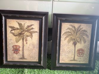 Framed Botanical Prints