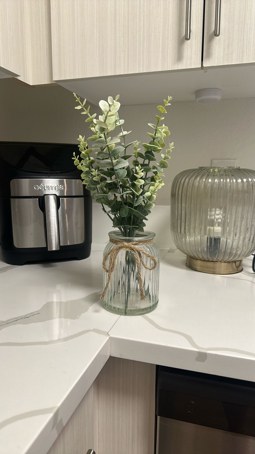 Eucalyptus Plant Decor