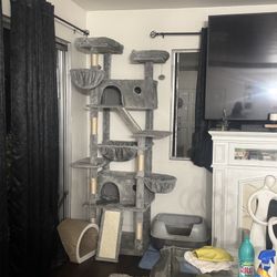 Cat Tree