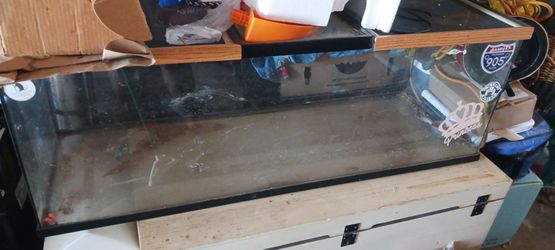 Fishtail reptile tank w screens