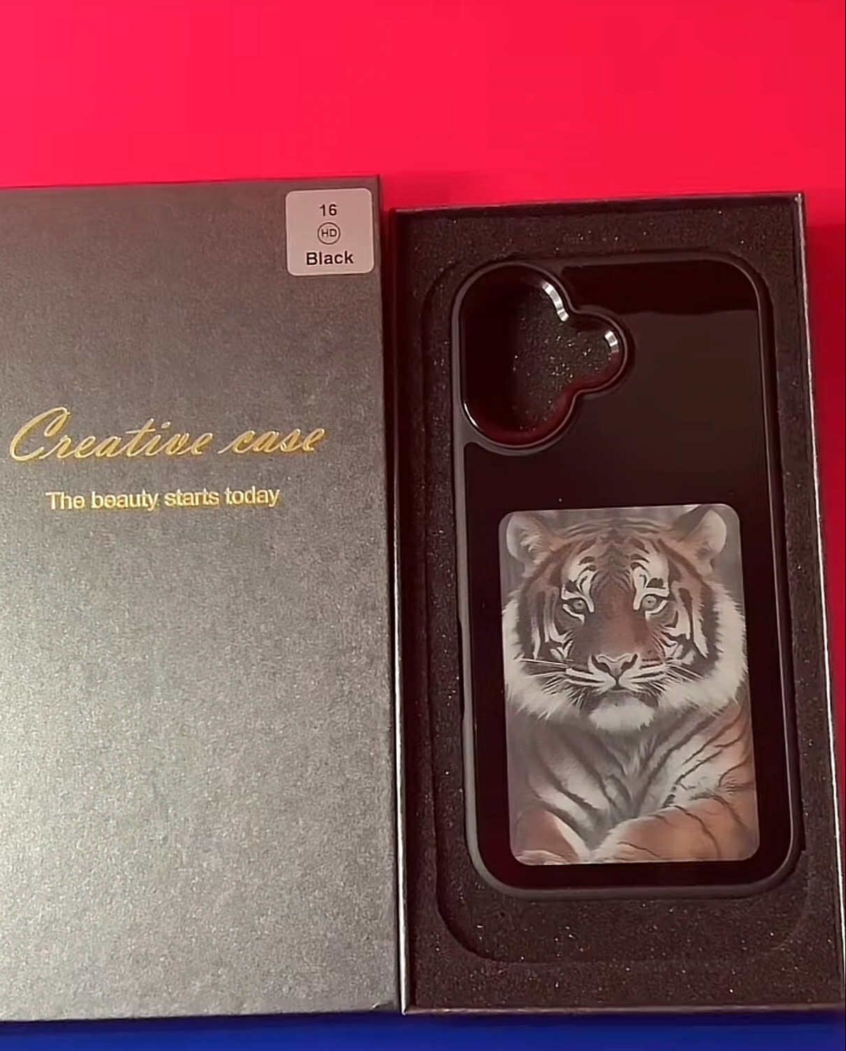 iPhone 16 Case