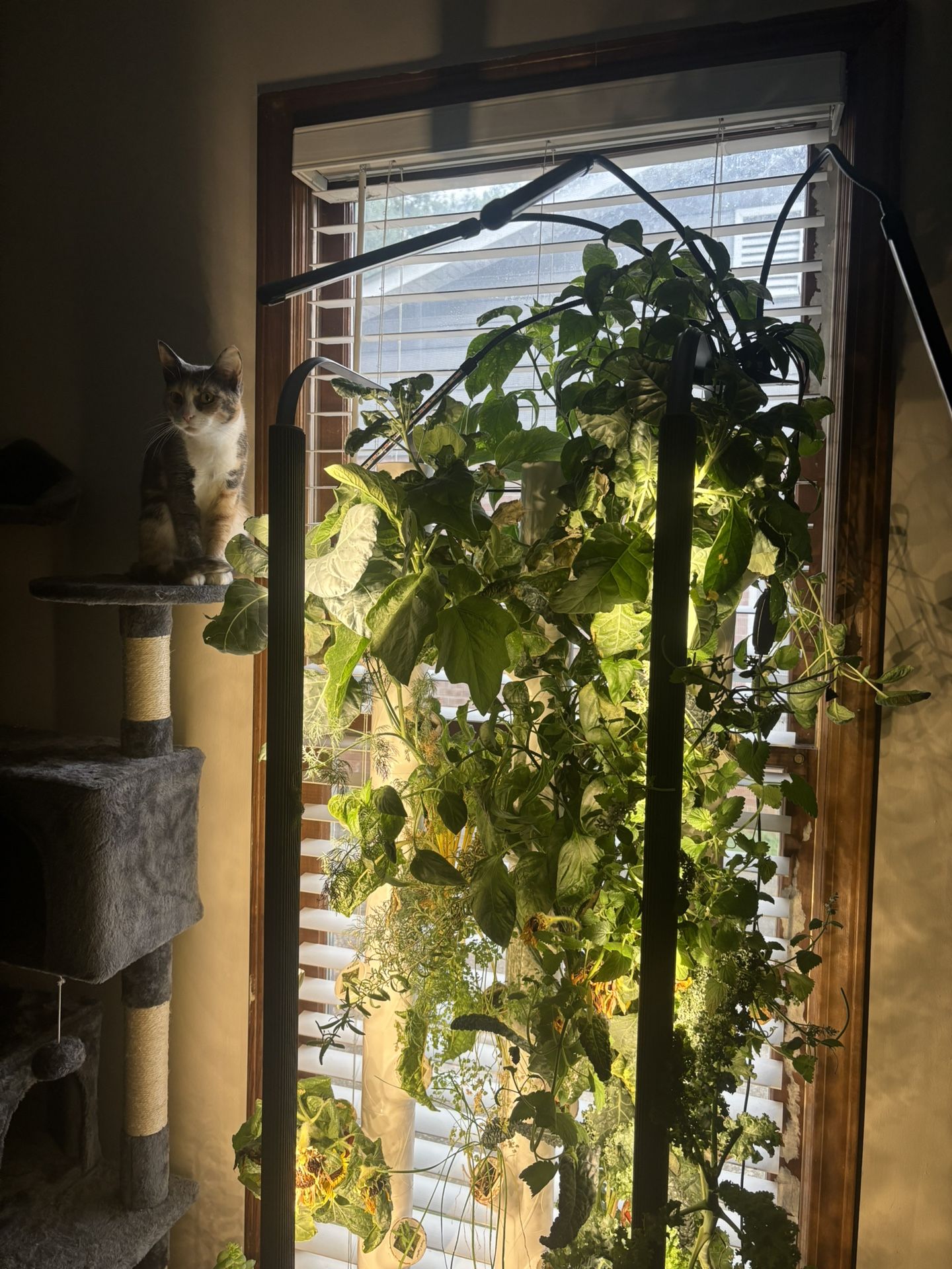 Gardyn Hydroponic Garden 4.0