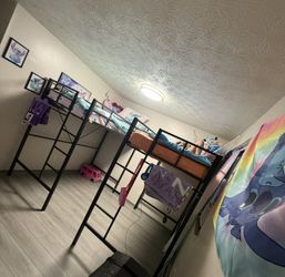 Twin Loft Bed