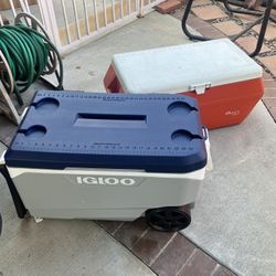 Ice chest