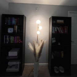 2 Black Bookshelves 