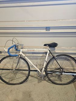1986 Schwinn Peleton Roadbike RARE EDITION