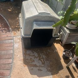 Dog House 
