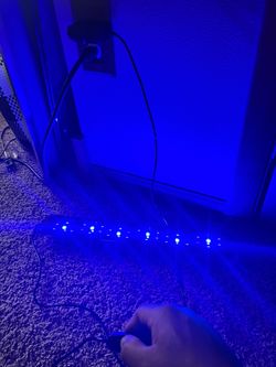 Aquarium Lights