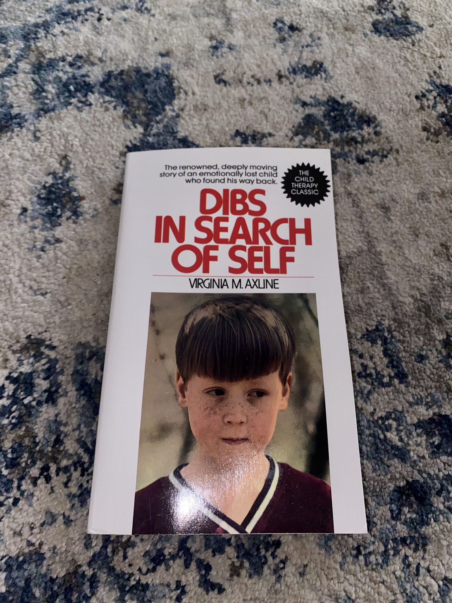 Dibs in Search of Self Paperback NEW