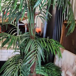 Planta Artificial Super Bella- Tap Beautiful Faux Plant 
