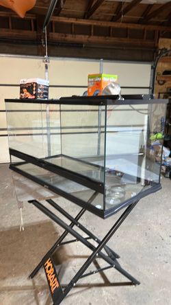 Terrarium