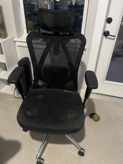 Ergonomic Office Chair