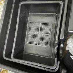 Snake Hides 2-XXL Size 2-L Hides