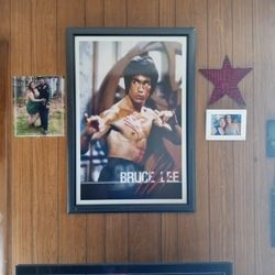 Bruce Lee Posted 