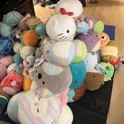 Squishmallows- medium and large 