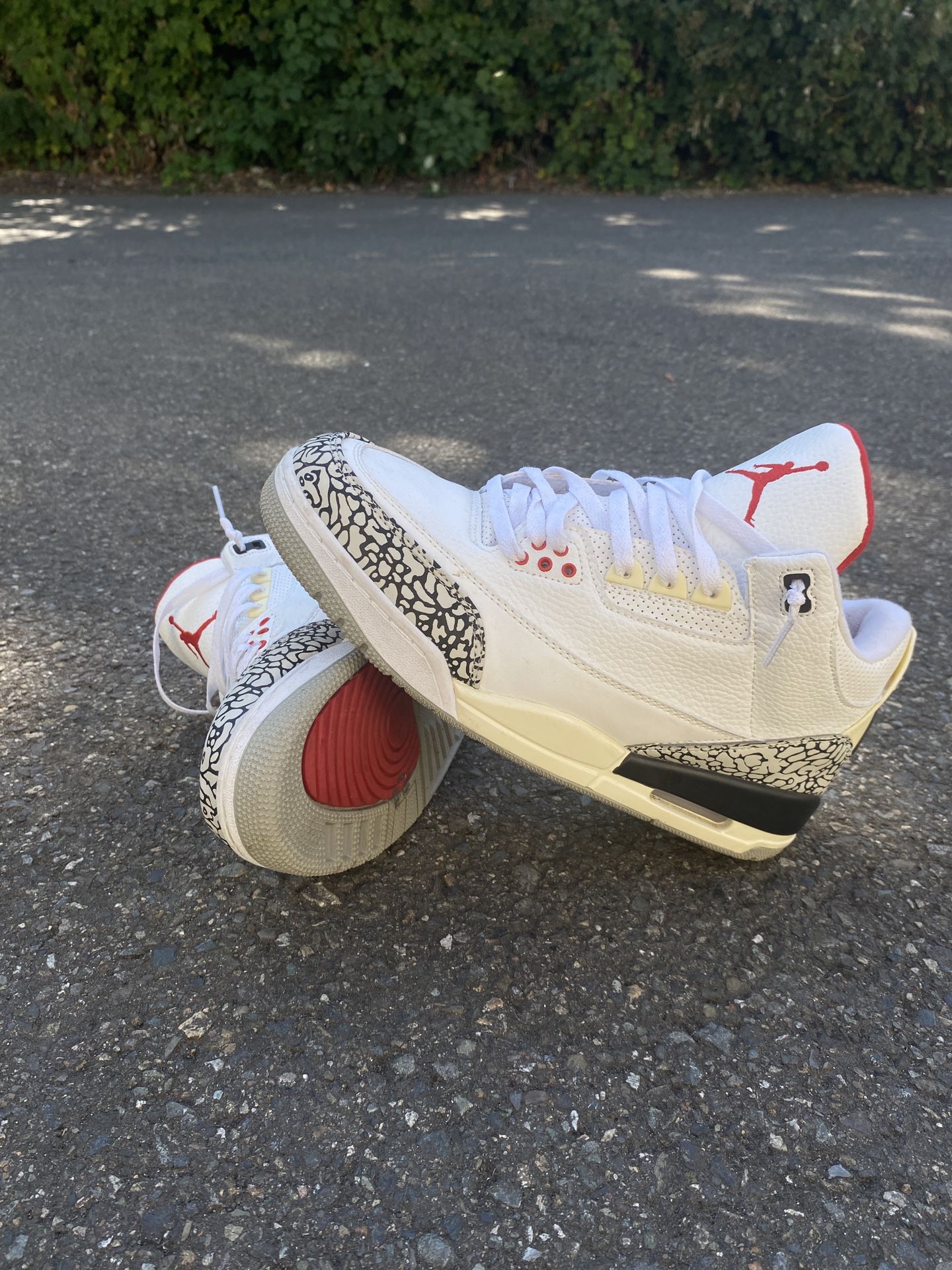 Jordan 3s