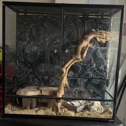 Glass Reptile Habitat