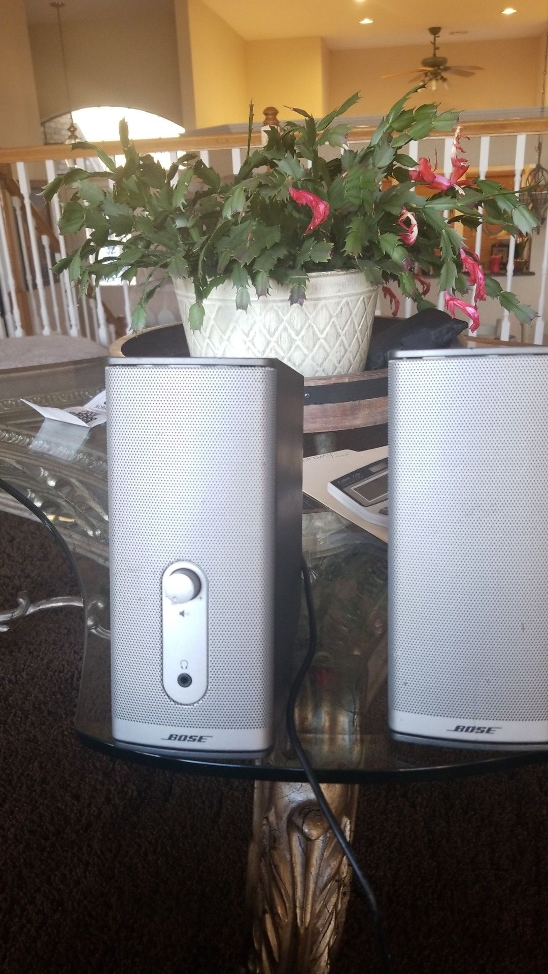 Bose Companion 2 multimedia speakers.