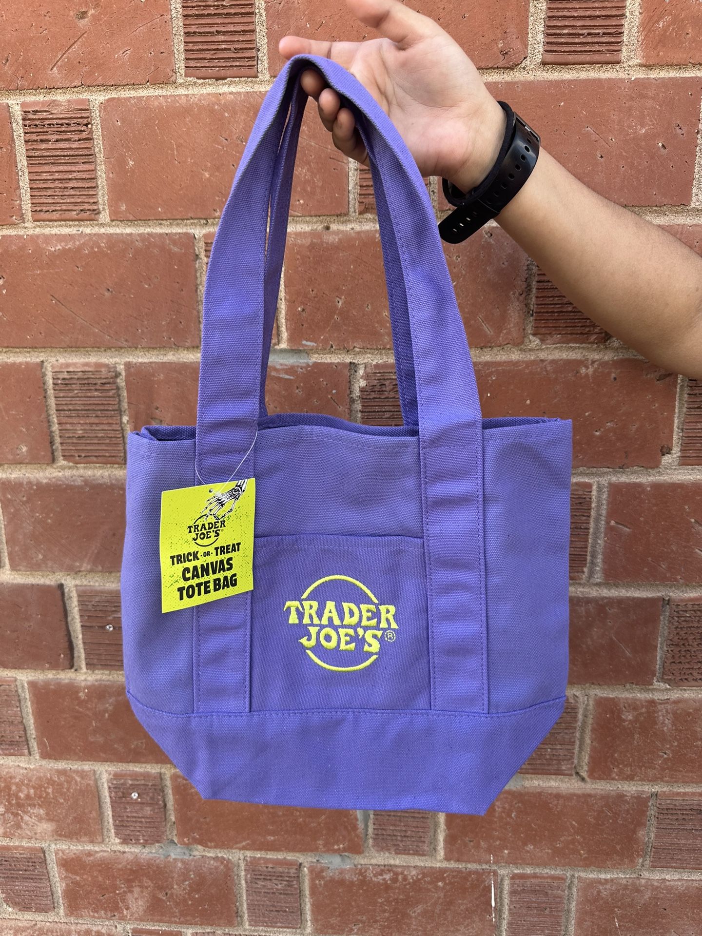 Trader Joes Canvas Mini Tote Bag
