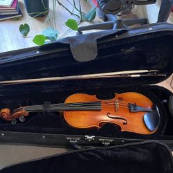 Violin