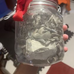Jar Of Sharks Teeth And Fossils