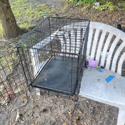Large Dog Kennel