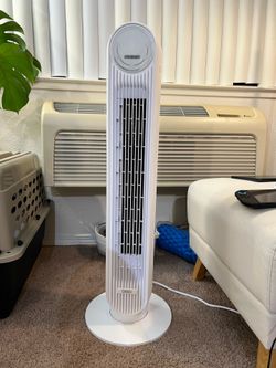 Standing Swing Fan