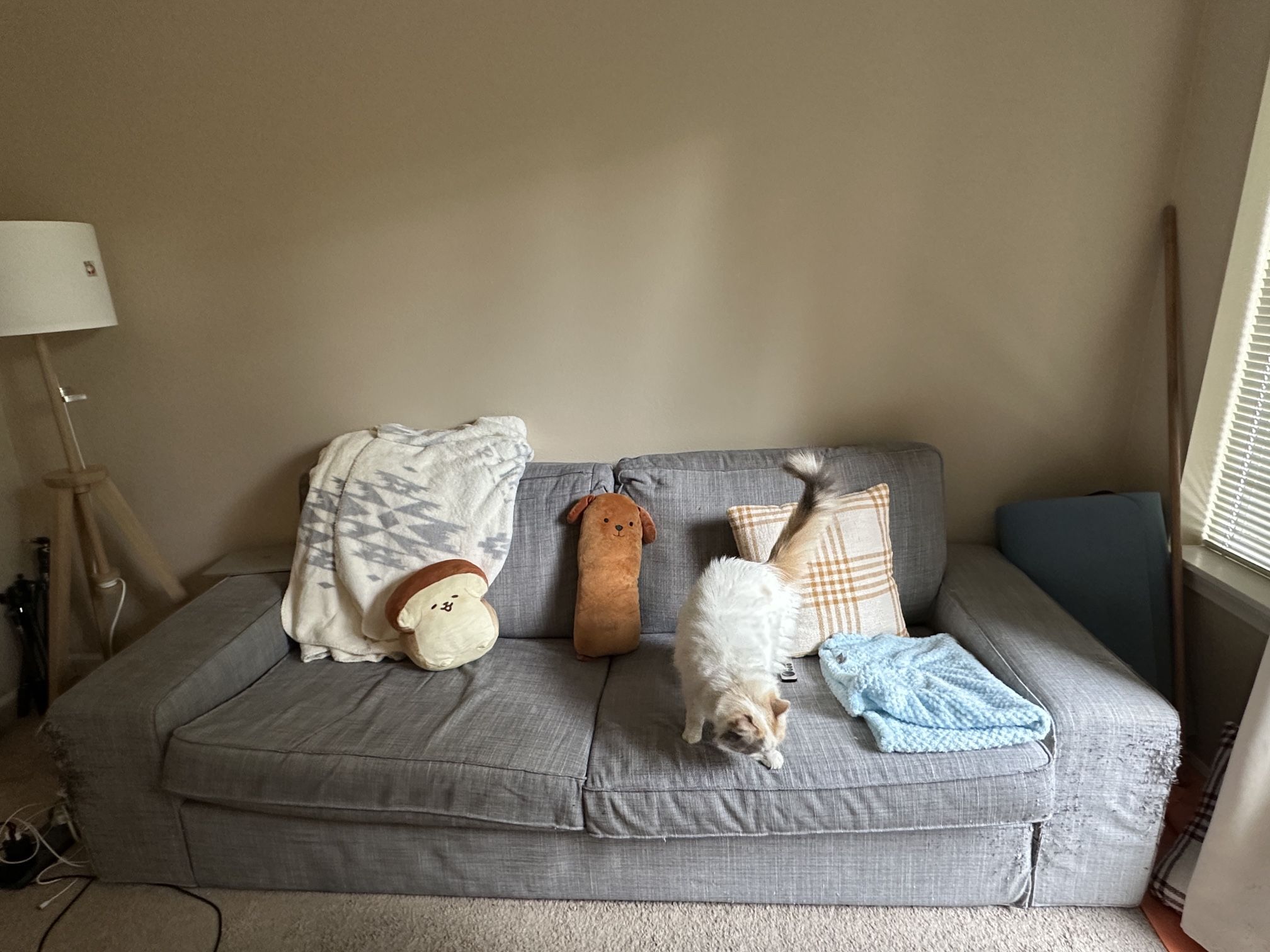 Free Couch Self Pickup 