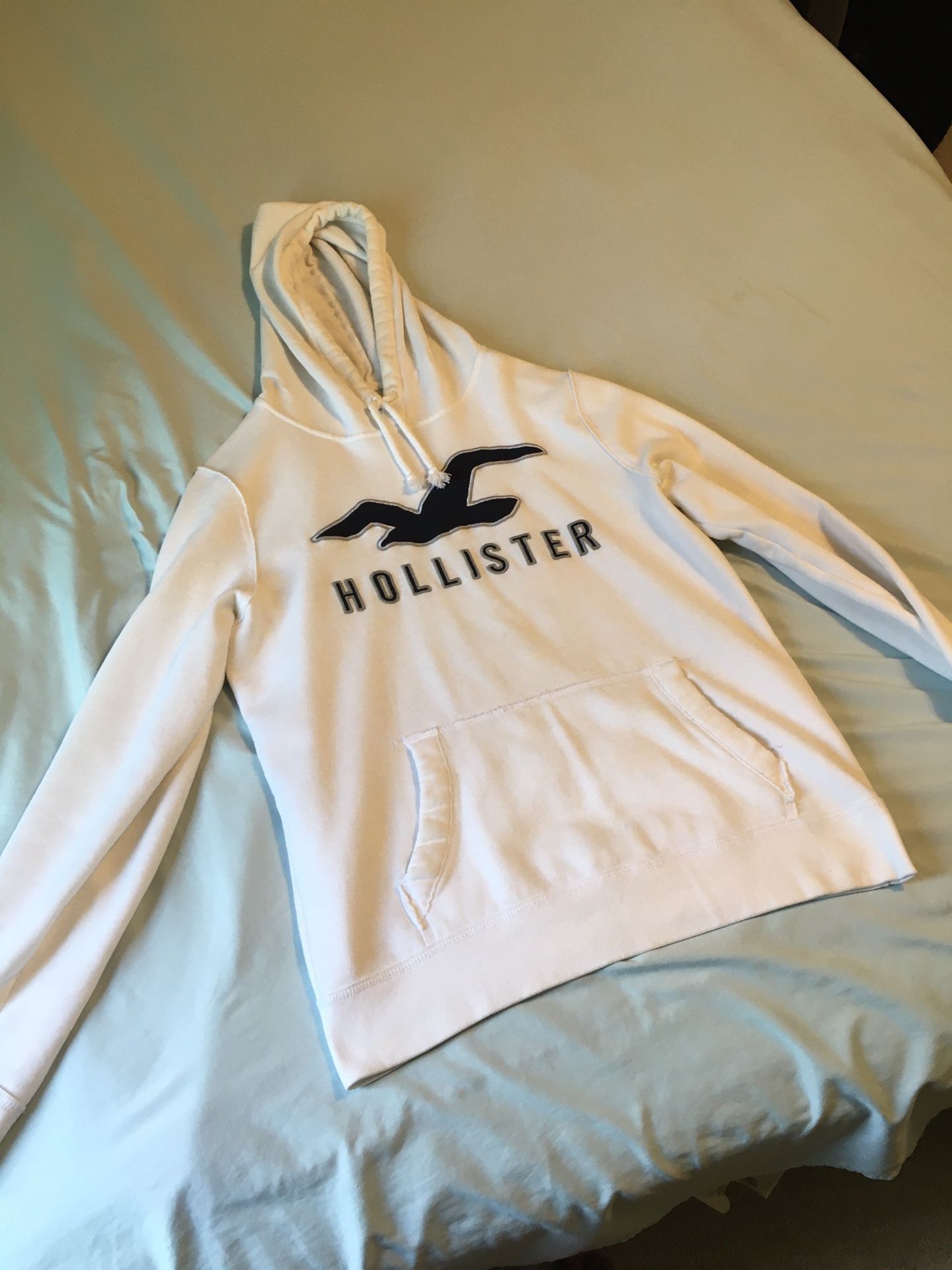 Mens Hollister Hoodie