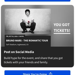 Bruno Mars The Romantic Tour
