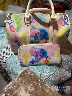 Louis Vuttion with wallet multi colored