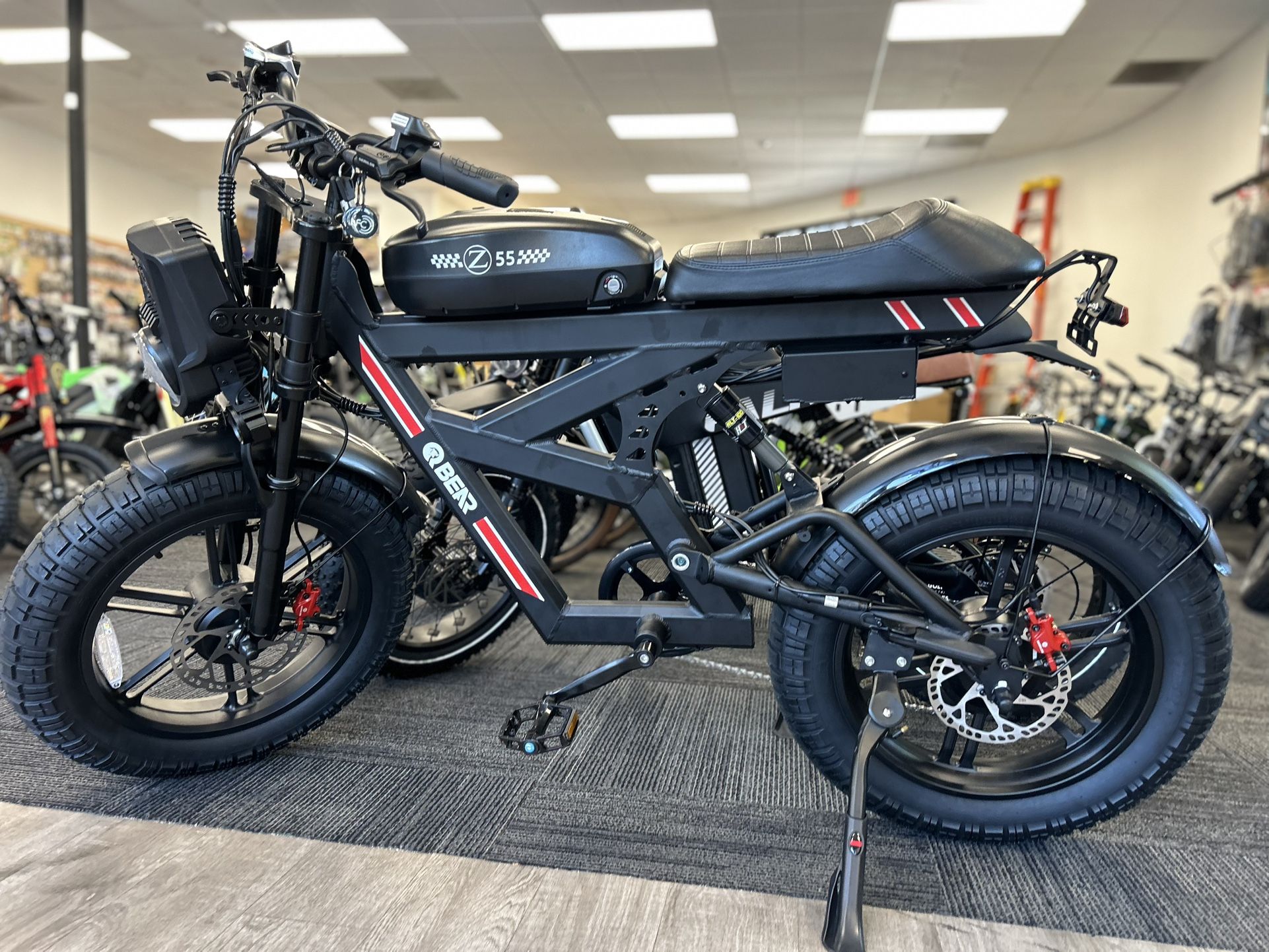 QBEAR Z55 Dual Motor Electric Bike 2000W/48V