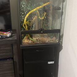 40 Gallon tank with stand