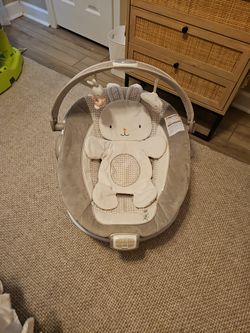 Baby Bouncer