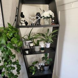 Coffin Style Cabinet/shelf