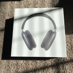Bluetooth Headphones (MAX)