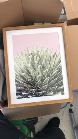 Framed picture