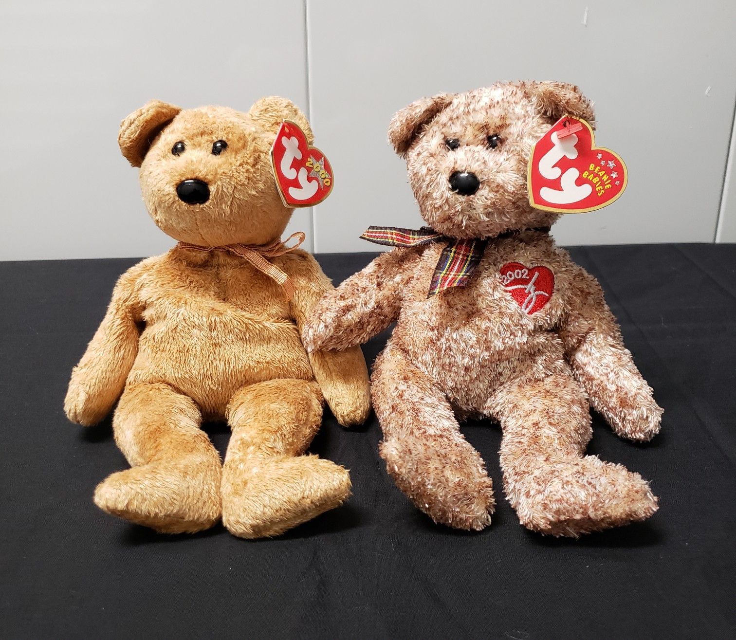 TY Beanie Babies Cashew And 2002 Signature Bear NWT.