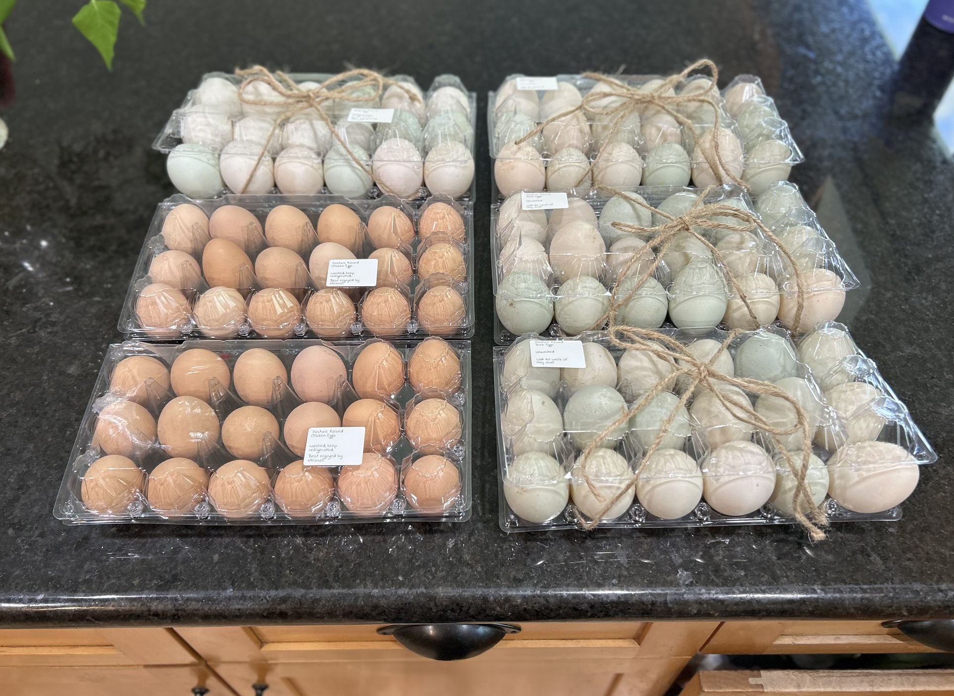 Pasture Raised, Fertile Duck Eggs