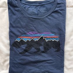 Patagonia Organic Cotton T-Shirts (Small)