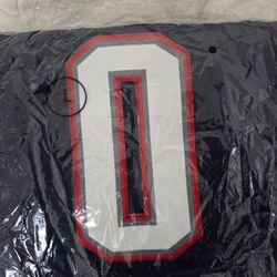 Large Patriots GONZALEZ Jersey