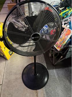 Fan
