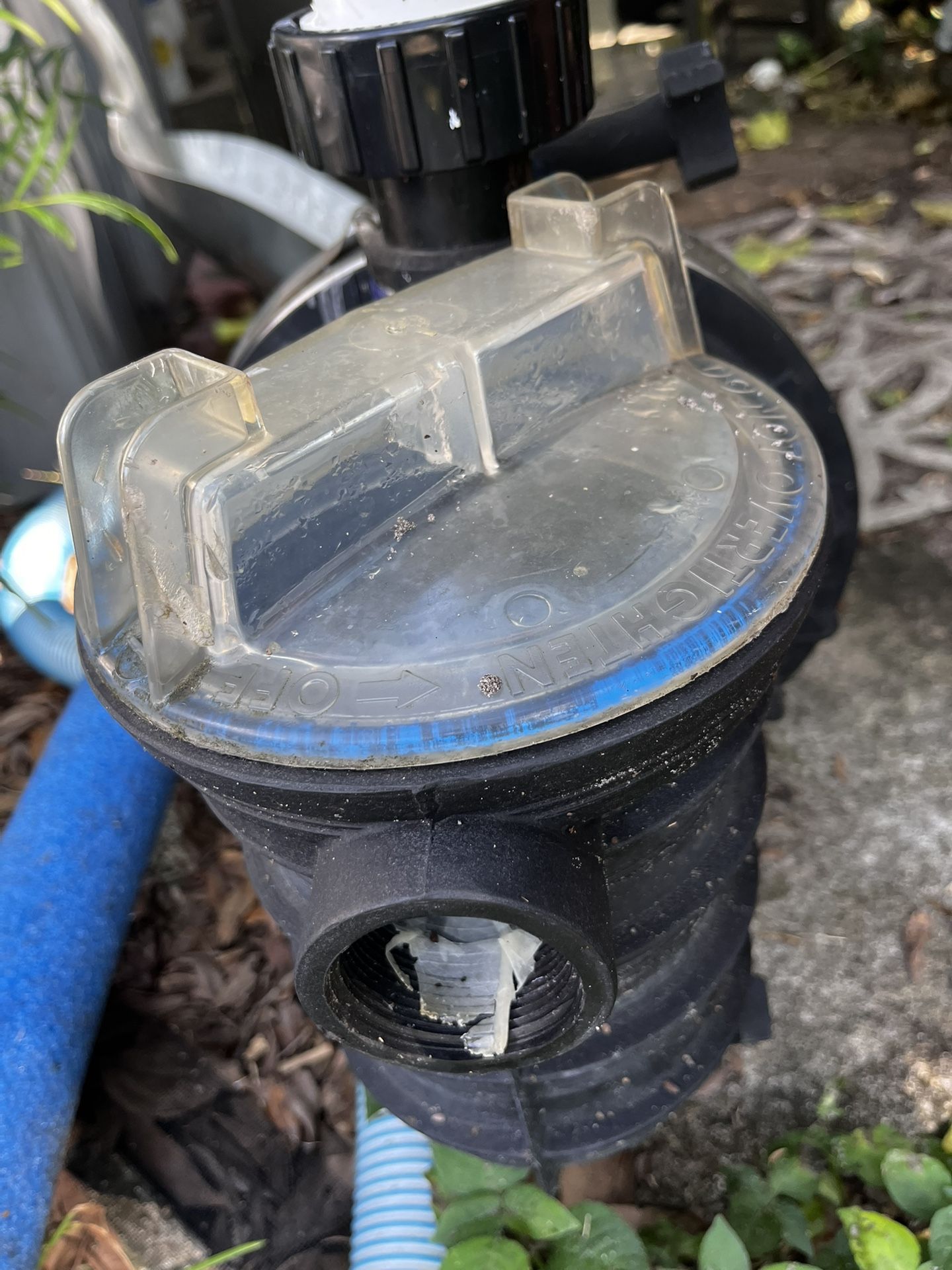 Pool Pump 