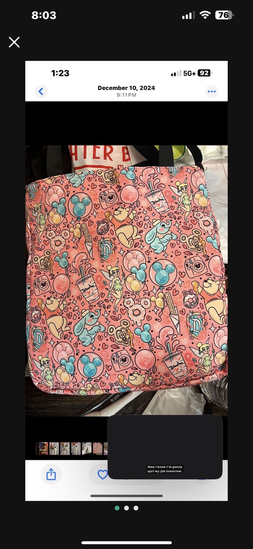 Disney Parks Bag