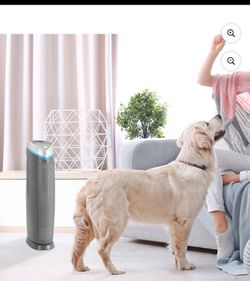Purificador GermGuardian Purificador de Aire con Filtro HEPA Pet Pure, UV-C, Elimina la Caspa de Mascotas, 915 Pies Cuadrados,
