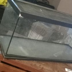 Fish Tank 